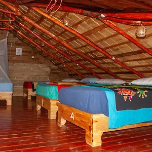  Hostal La Ballena Backpacker